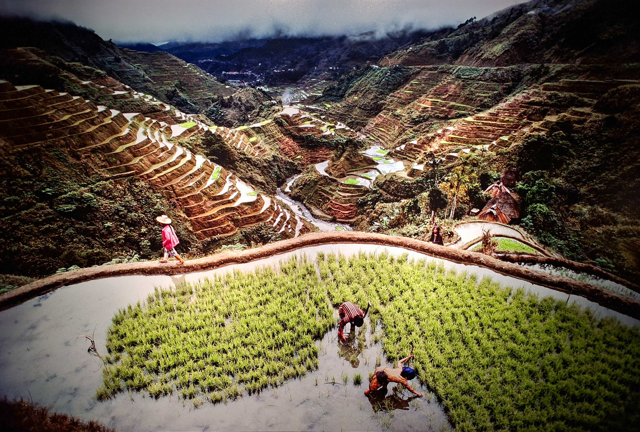 Móvil 20260613 Steve McCurry 134